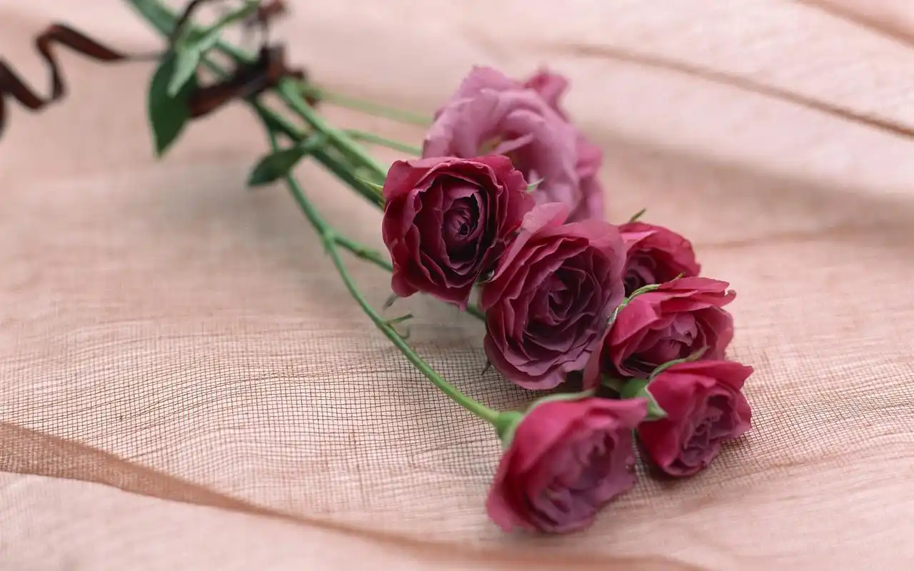 唯美清新七夕节鲜花装饰壁纸