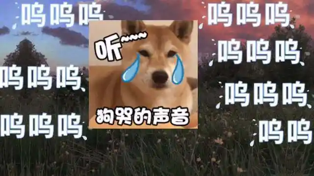 cv羊仔##羊仔教你做人系列# 拼拼凑凑好几. 来自zzz_猫怨 - 微博