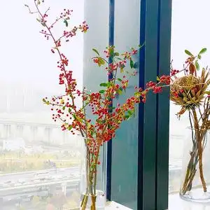 火棘果好运果国产鲜花鲜切花材家用送礼店铺水养瓶插用花上海直批