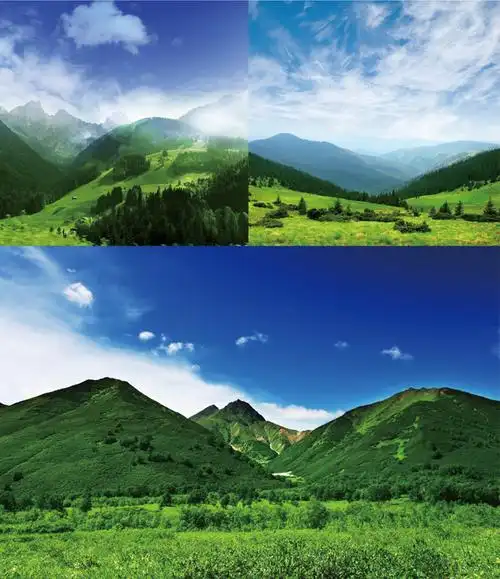 绿色树林山丘高清摄影图片