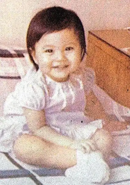 从拜金小三到人生赢家,香江第一美人李嘉欣的传奇人生