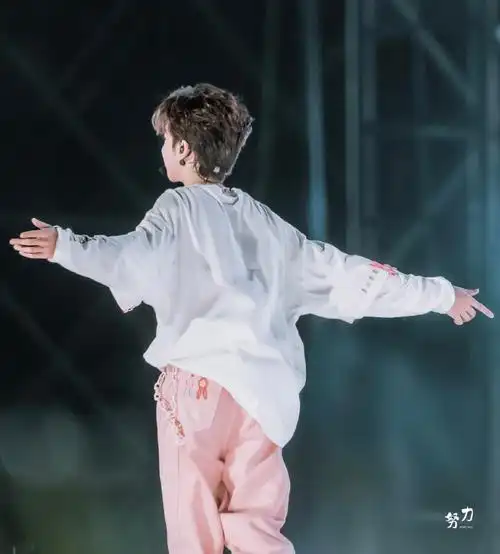 贺峻霖全员加速中##贺峻霖 十九摘星诵捷音#此小猪的快落背影可暗到