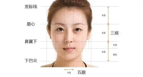 从现代东亚人面部美学来看,"三庭五眼