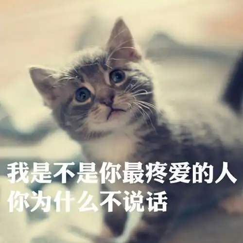 你为什么不说话?" "都不说话了,你心里还没有点数吗?