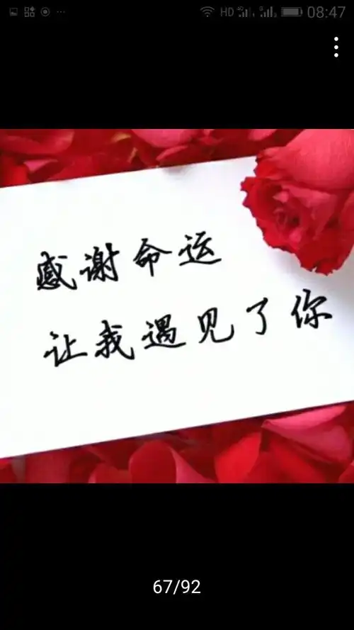 感谢命运让我遇见你