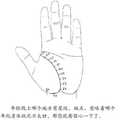 手上生命线预知疾病 双手反射区调理健康