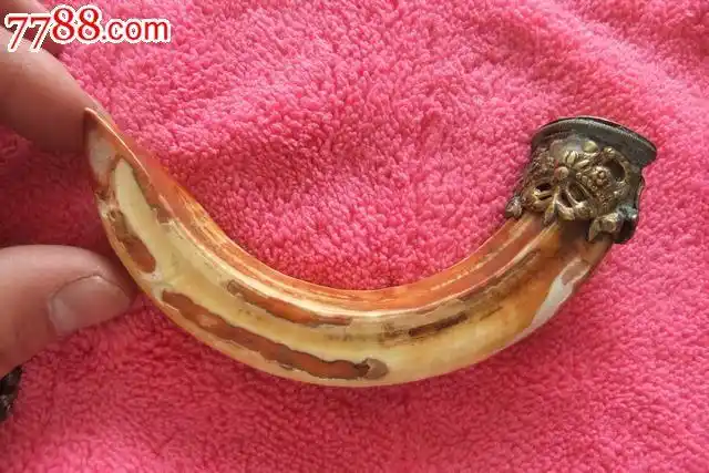 一只带装饰的老野猪牙!