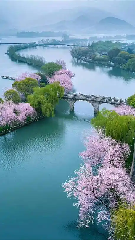 壁纸 风景 摄影 桌面 480_853 竖版 竖屏 手机