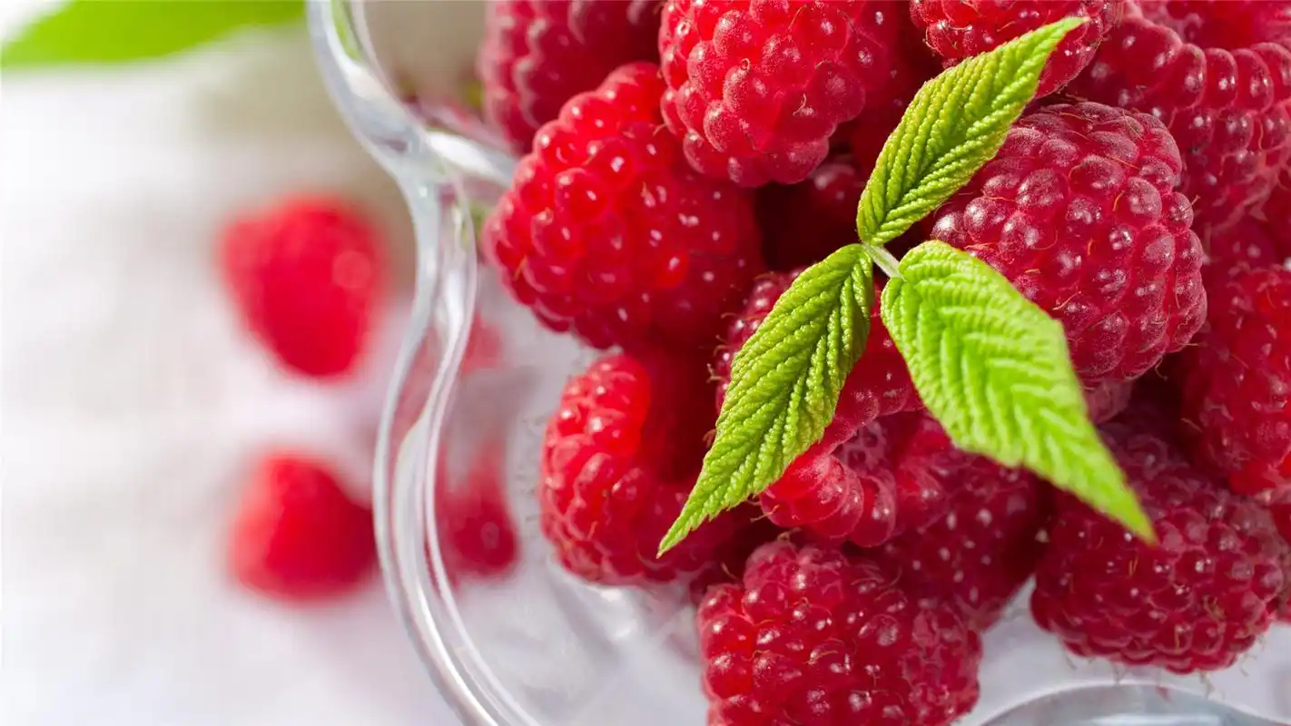 鲜红诱人可口水果树莓唯美小清新桌面壁纸(四)高清大图预览1920x1080
