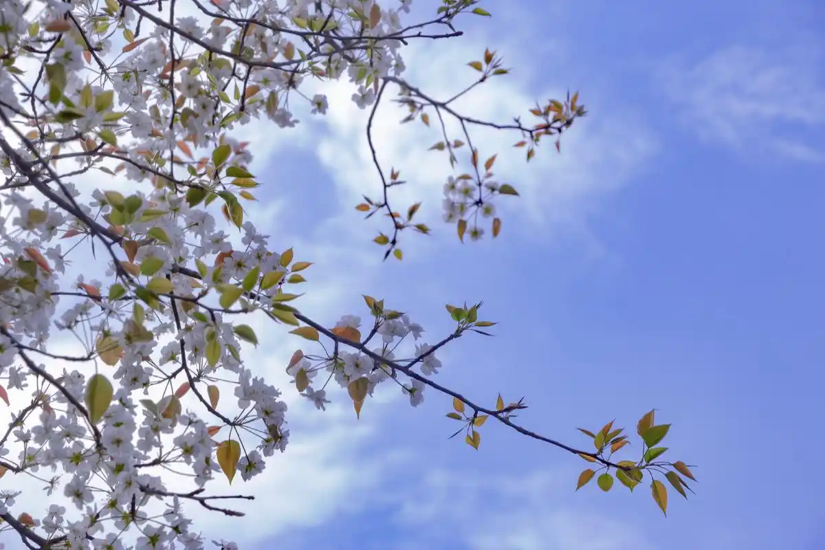 治愈系蓝色滤镜风景ipad壁纸