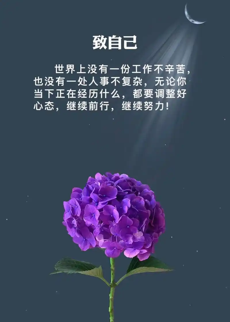 致自己#情感 #感悟人生 #抖音图文来了 - 抖音