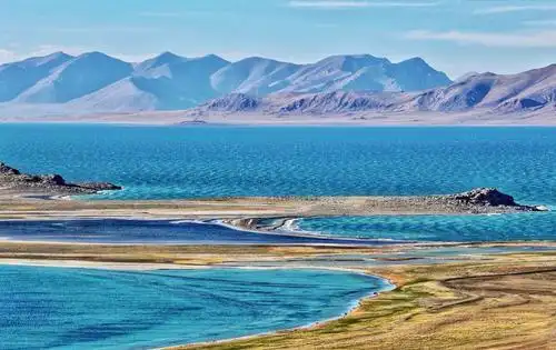 连只兔子都能要人性命可可西里的无人区究竟是有多恐怖