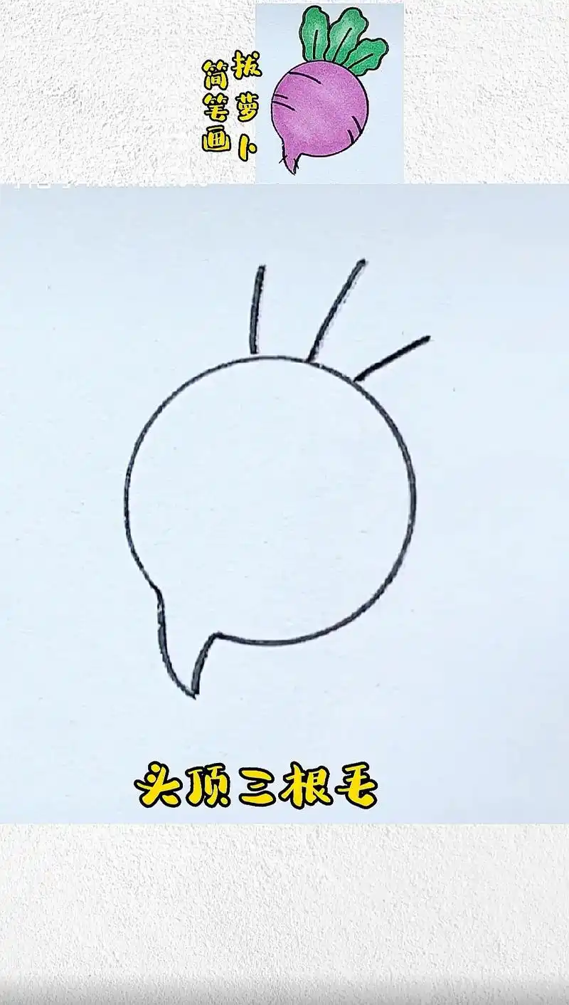 抖音图文来了 不用报班,入门级零基础简笔画画法教程之小萝卜 - 抖音