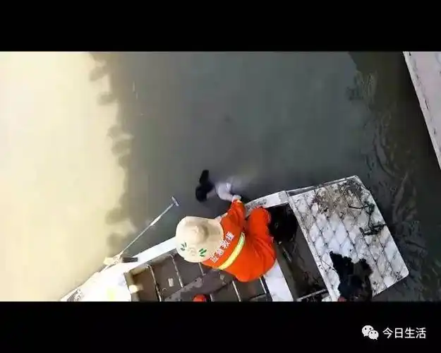 悲剧!高邮14岁女孩落水死亡