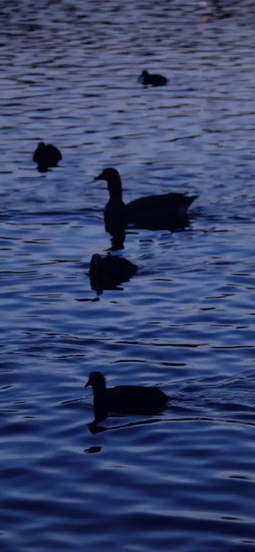 壁纸风景壁纸原宿壁纸ins意境壁纸赞评论1更多所有评论你也来说些什么