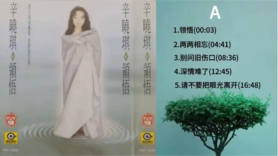 辛晓琪《领悟》磁带专辑内录,无损音质,怀旧味的享受