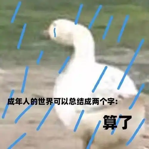 年人的世界可以总结成两个字算了算了总结世界两个可以表情
