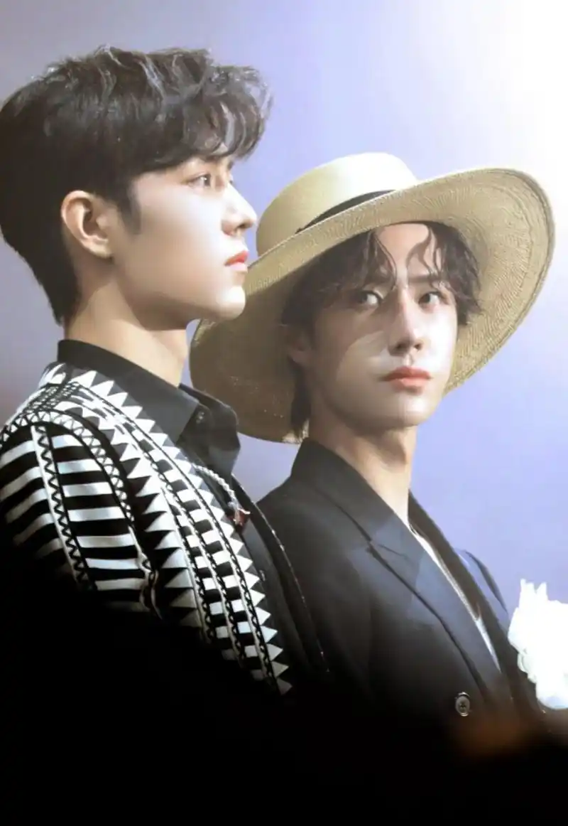 眼神是不会说谎的#肖战 #王一博 #陈情令泰国见面会 #青山 - 抖音