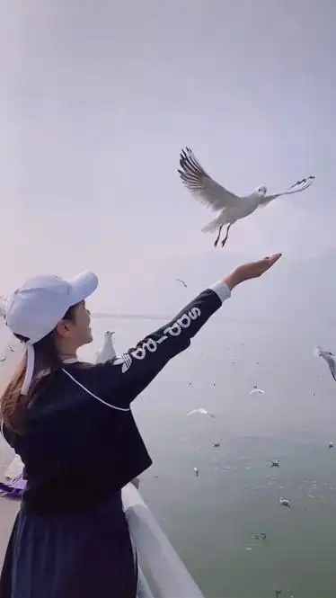 放飞心情放飞自我