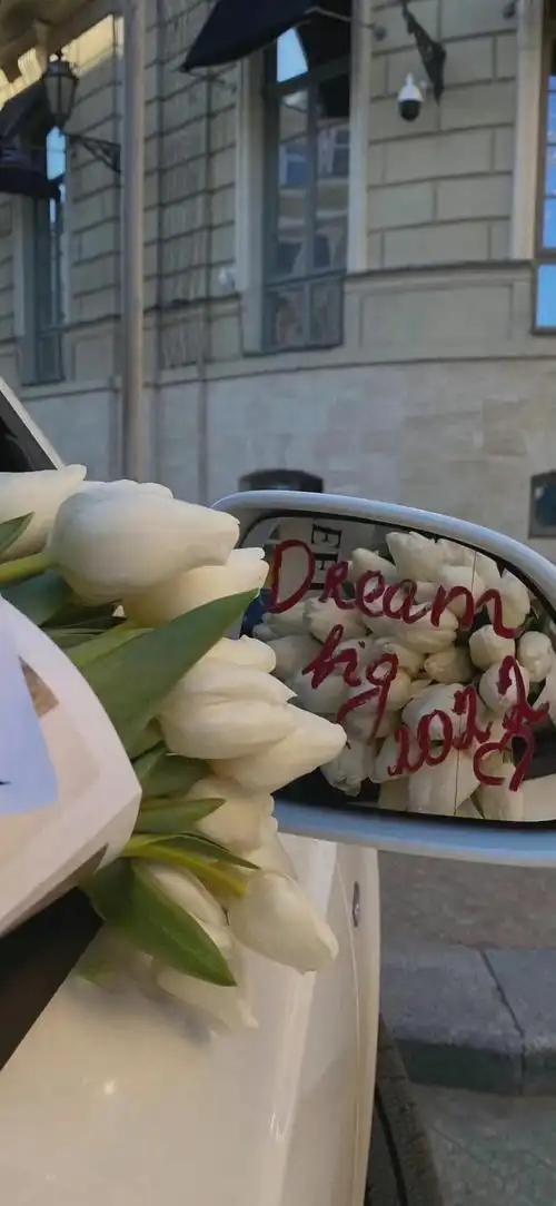 壁纸:高级感ins风手机全屏壁纸_腾讯新闻