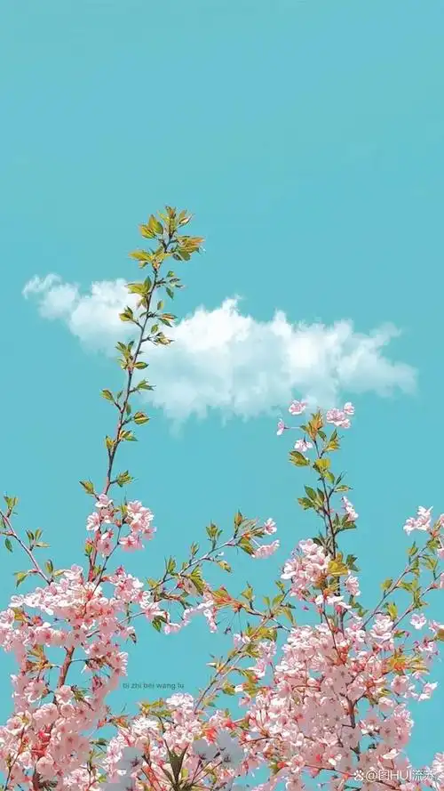 治愈系小清新手机壁纸