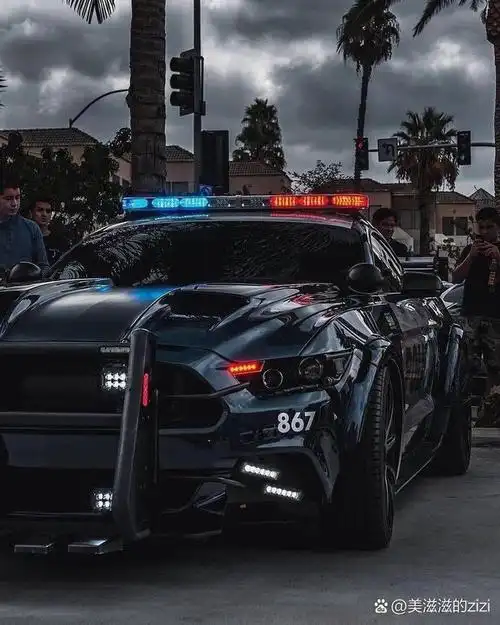 野马的警车是真心帅啊!