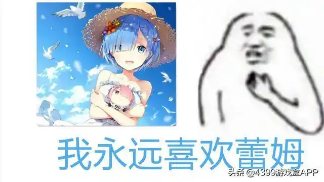 老婆三个月一换】等等表情包与概念都是在16年内从小众圈火到广为人知