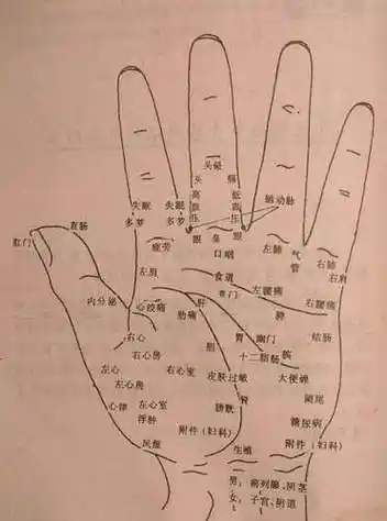 手掌有痣的男人(手掌有痣的男人图)_网络编辑之家