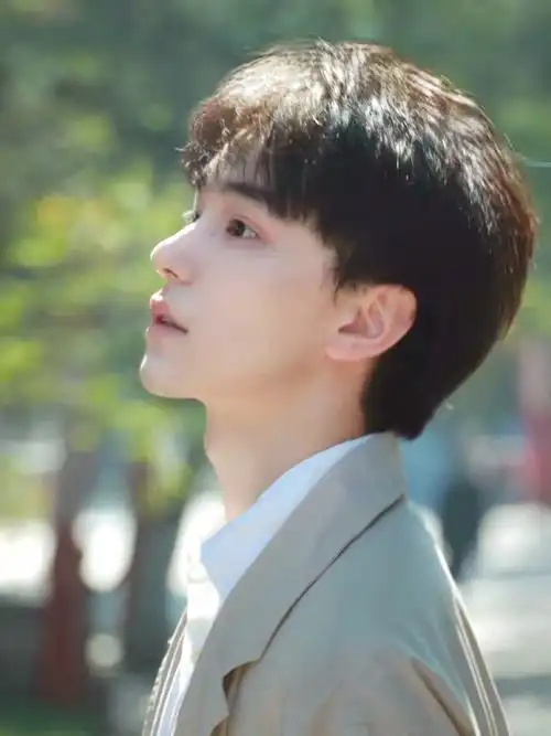 假发短发韩式网红蓬松碎盖头套自然日常仿真日常整顶假发