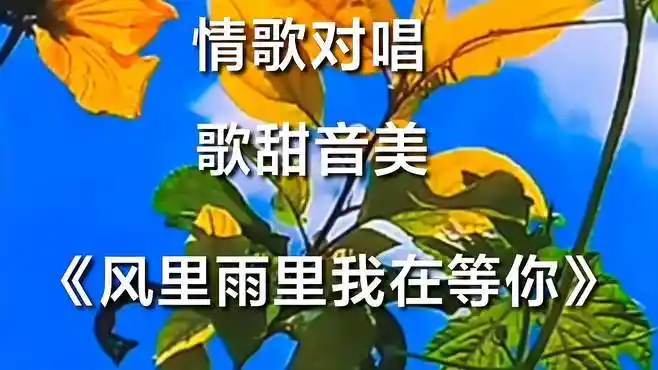 情歌对唱《风里雨里我在等你》歌甜音美,好听至极