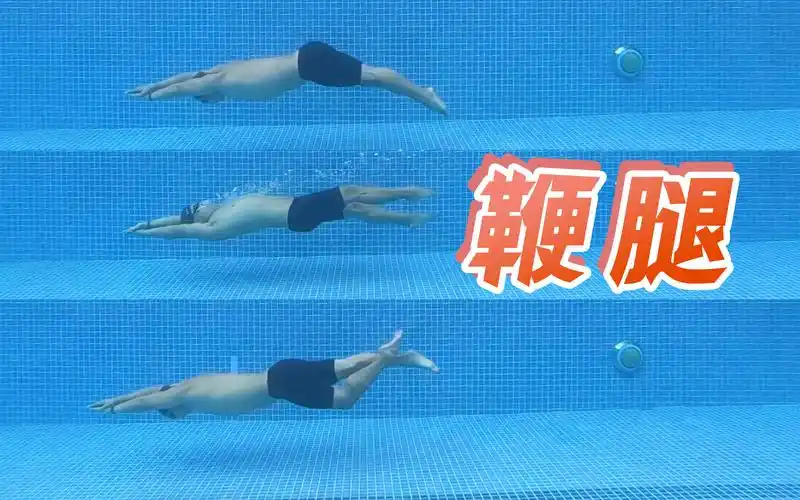 两个动作,搞懂自由泳,仰泳和蝶泳的腿部动作|梦觉教游泳