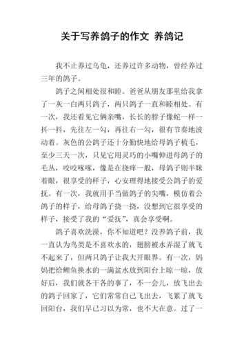 关于写养鸽子的作文 养鸽记.docx