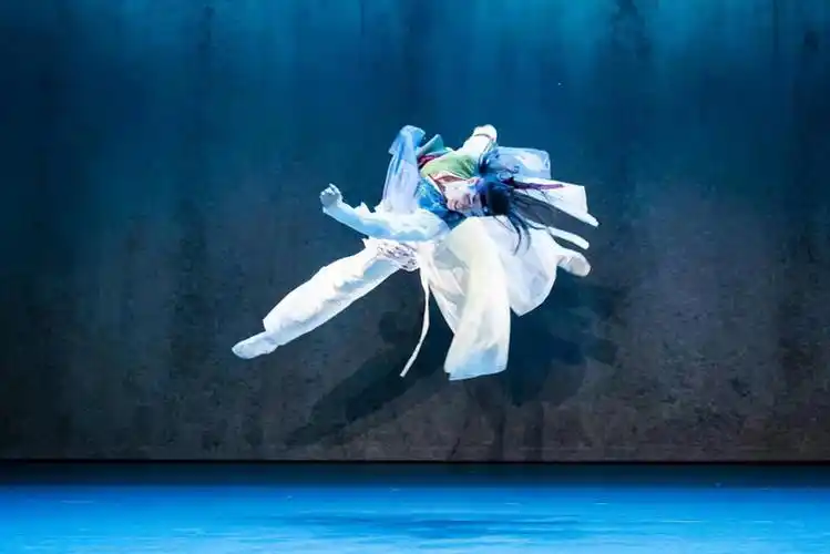 新时代舞蹈艺术家亮相深圳龙华区2023年舞蹈明星专场晚会