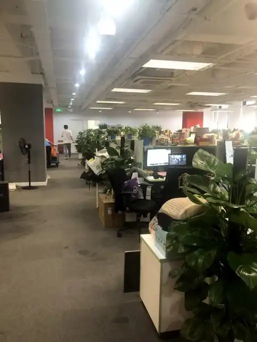 做专业的游戏品牌门户,提供优质的游戏资讯攻略!