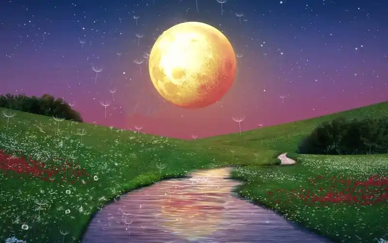 纯音乐 轻音乐 疗愈音乐 冥想音乐 缓解压力 消除烦恼舒压按摩 深度