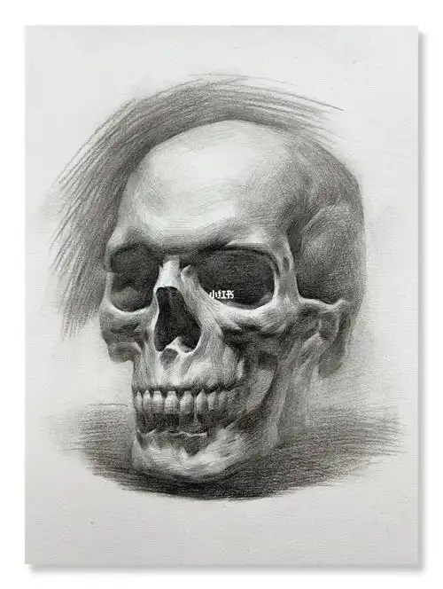 骷髅头的画法