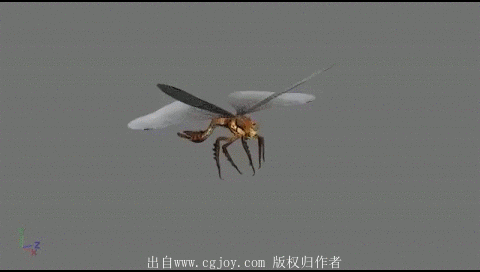 幽灵 蜻蜓 人形翅膀怪等怪物的攻击 死亡 击倒 飞行 休闲 待机 走 跑