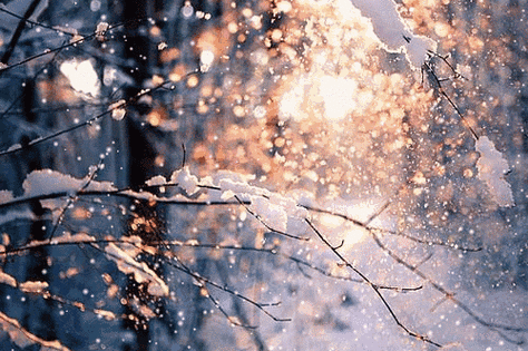 500_332gif 动态图 动图