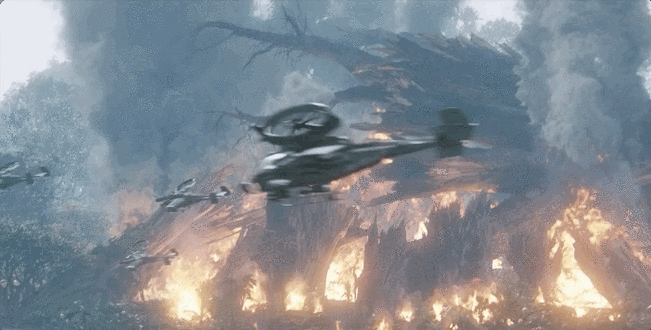 尤其是那棵生命之树,燃烧了几天几夜,最后化为灰烬时,我只有心痛,没有