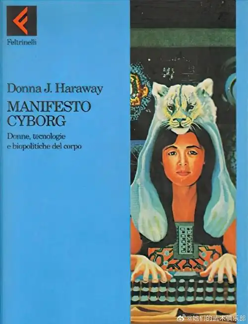 可怜的东西##春日荐片季