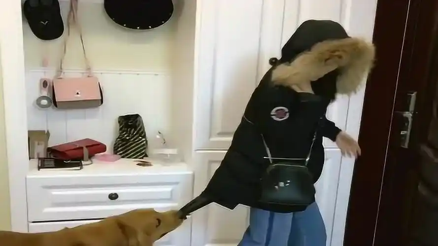 老姨要走了,轮胎拽着老姨的衣服不让走,亲妈都看不下去了