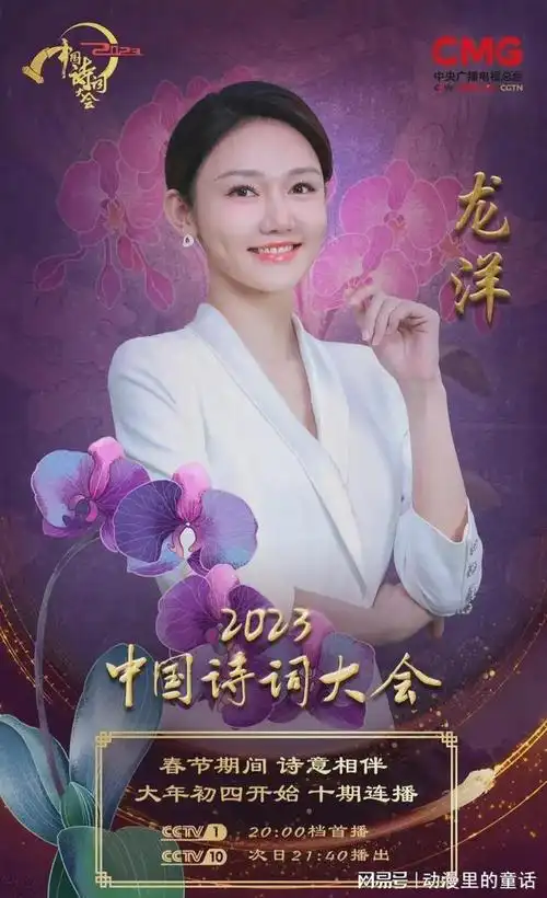 央视主持人龙洋现身荆州古城本人颜值普通网友怀念董卿周涛