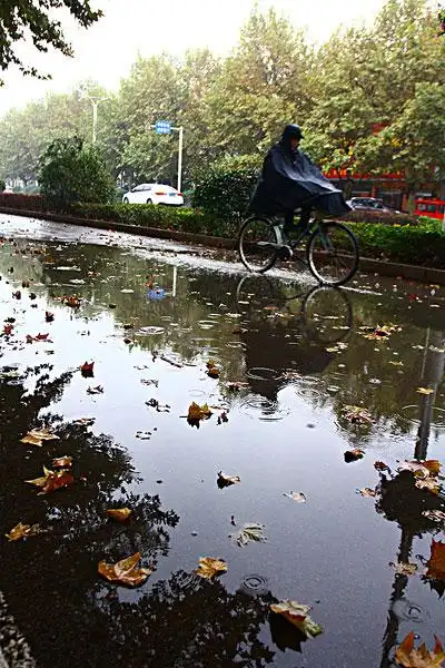 下雨街景