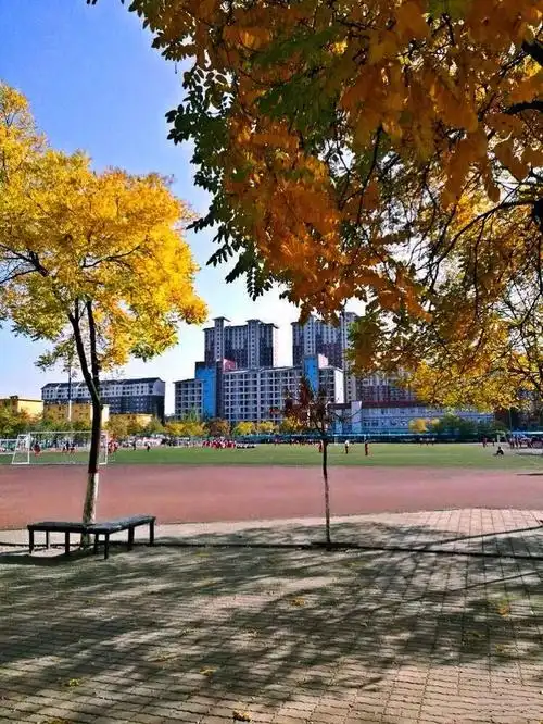 多想留住宁大附中的秋色叹惜今年已经错过