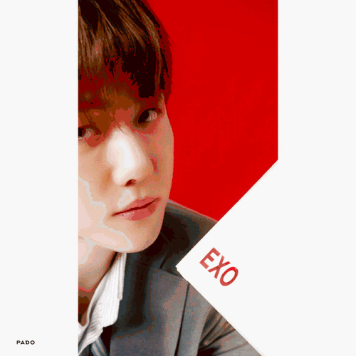 边伯贤##吴世勋