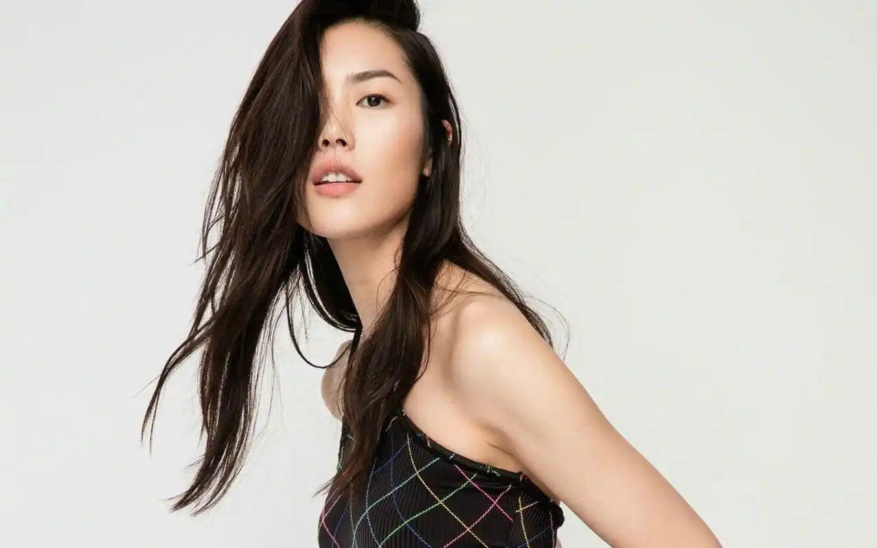 刘雯嘉人杂志魅力迷人写真图片桌面壁纸