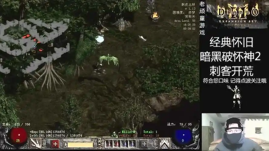 暗黑破坏神2刺客开荒实况act3噩梦篇叶子淘汰精神眼光登上舞台