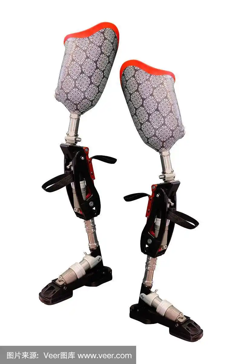 假肢,动物腿,垂直画幅,人造的,袜子