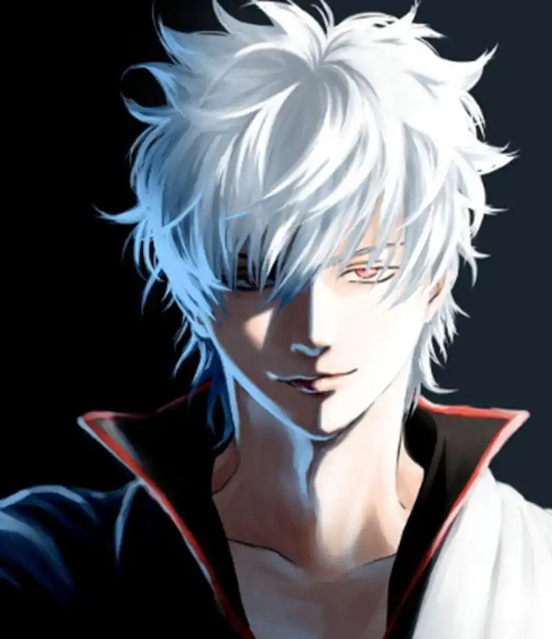 "白头发"的动漫男神排行榜,杀生丸第2,第一可萌可帅可妖孽!