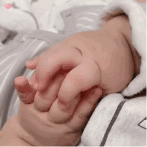 295_295gif 动态图 动图